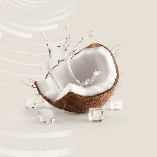 Intra-Treino Repositor Eletrolítico Sport Line Água de Coco com Gengibre 900 g